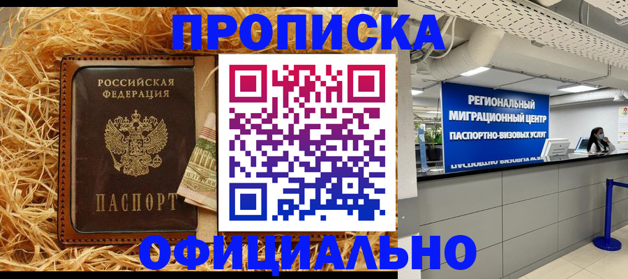 временная регистрация поиск в Лузе